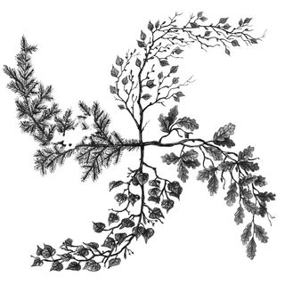 unknOwn — Seasons